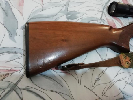 se vende rifle  cz  calibre 222 en perfecto estado pocos disparos  rifle de   calidad  y super preciso 10