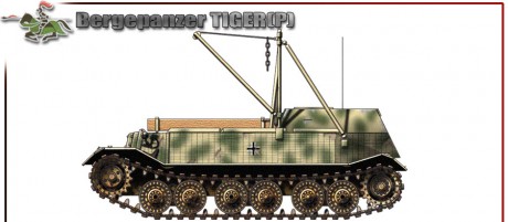 Abro este hilo ya que no puedo trasladar el de maquetas en conversación general, y porque pretendía dar 30