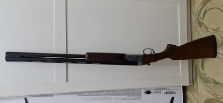 Se encuentran en Mallorca, los portes a cargo del comprador aprox 80€
BA13 Thumbhole del .300AAC Blackout 51