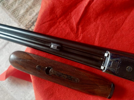 Aya modelo Número 3A, en  calibre 20/76  (Magnum). Cañón de 63 cm, con tres y una estrellas. Extractora. 42