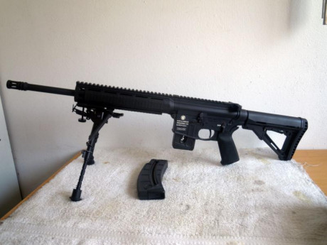 Vendo carabina semiautomática Smith&Wesson MP15-22, calibre 22 LR, ultimo modelo con guardamanos M-Lok, 12