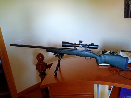 VENDO SAKO ROUGHTECH EN CALIBRE 308.
CAÑON DE 65 CM, GATILLO AFINADO A 650 GRAMOS,MONTURAS FIJAS,
VISOR 02