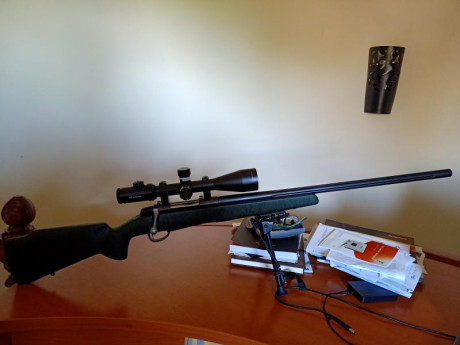VENDO SAKO ROUGHTECH EN CALIBRE 308.
CAÑON DE 65 CM, GATILLO AFINADO A 650 GRAMOS,MONTURAS FIJAS,
VISOR 01