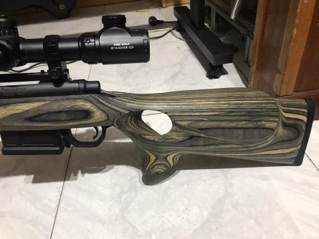 Pues por no usar y tener que hacer hueco en el armero tras la llegada de el Mauser M18 pongo en venta 00