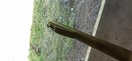  VENDIDA.  31