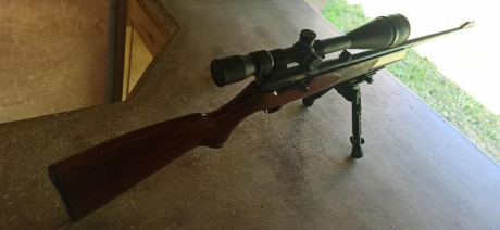  VENDIDA.  41