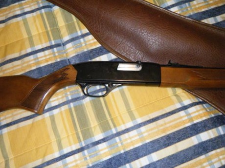 Tengo una carabina Winchester del 22 que no uso y me gustaría vender o cambiar por algo de aire. Alguien 31