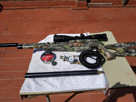 Se venden dos carabinas de PCP . Calibre 5,5 están  reguladas   a  24  julios de potencia. Las carabinas 02