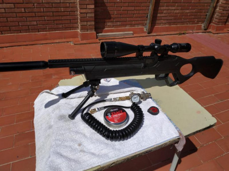Se venden dos carabinas de PCP . Calibre 5,5 están  reguladas   a  24  julios de potencia. Las carabinas 00