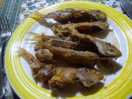Hoy para comer acelgas hervidas y chuletón de vaca gallega vieja con seis semanas de maduración en cámara 131