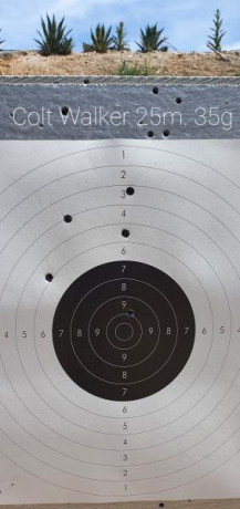 Buenas compañeros, no me pude creer el resultado que tuve, a 25mts con el Walker, solo hice 5 disparos, 01