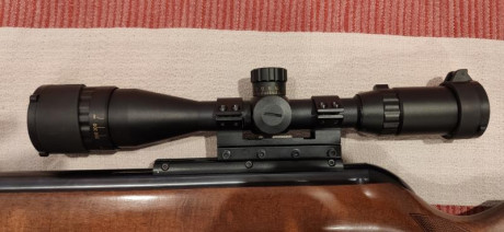 Hola
Vendo esta cfx Royal en muy buen estado,es en calibre 5.5 y va con el visor incluido,el precio es 01