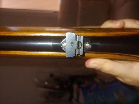 Hola, busco rifle clásico en madera tipo mauser / Santa Bárbara sin visor pero valoraría bases y anillas 61