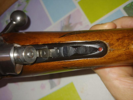 Hola, busco rifle clásico en madera tipo mauser / Santa Bárbara sin visor pero valoraría bases y anillas 60