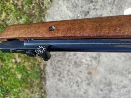 Hola, vendo cometa Fénix 400 en calibre 5.5 , es de los primeros modelos con punto de mira tipo túnel 20
