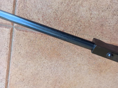 Hola, vendo cometa Fénix 400 en calibre 5.5 , es de los primeros modelos con punto de mira tipo túnel 31