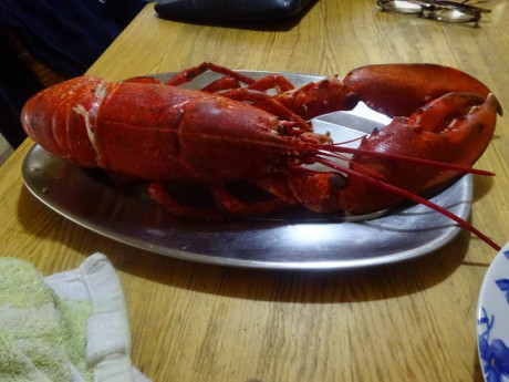 Hoy para comer acelgas hervidas y chuletón de vaca gallega vieja con seis semanas de maduración en cámara 20