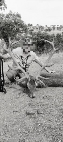 ... y demuestra que es tan válido como cualquier otro.

Con la abundancia actual de cartuchos, algunos 21