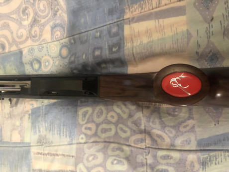 vendo benelli becaccia calibre 20/76.
comprada en 2020, con un par de salidas al monte.
pesa 2450g cañon 31