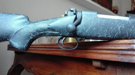 Buenas tardes, 

Vendo casi a estrenar un Winchester 70 modelo 
Coyote Light en 308w.

Lleva bases Warne 11