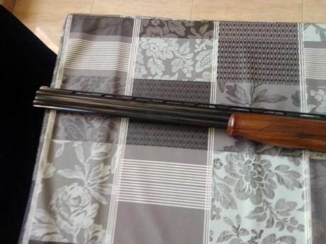 Buenas, tengo un buen amigo que vende una lanber calibre 20 de diestros con polichokes en buen estado, 01