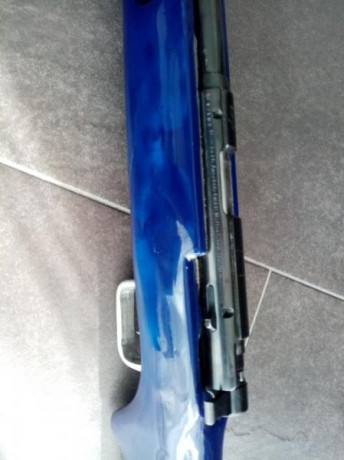 Se vende carabina del 22lr , con dos culatas. El visor no está en venta y no entra en el lote, no se vende 00