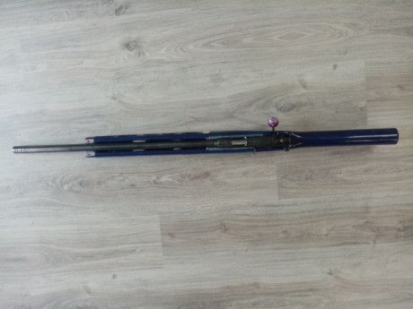 Se vende carabina del 22lr , con dos culatas. El visor no está en venta y no entra en el lote, no se vende 10
