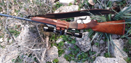 Se vende monotiro Ruger n°1 en calibre 243 con monturas y visor leupold vx-I 2-7x 33 m.m.
El rifle esta 12