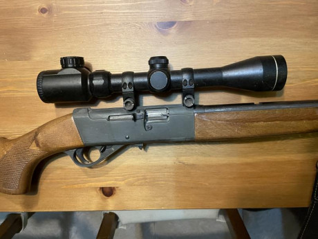 Desmontable BIEN CUIDADA! Semiautomática Calibre 22 con visor incluido Bushnell 3-9x40E. Cargador de 10 00