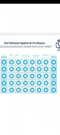 Hola a todos, me voy a iniciar en el mundo del tiro deportivo de larga distancia y viendo las modalidades 71