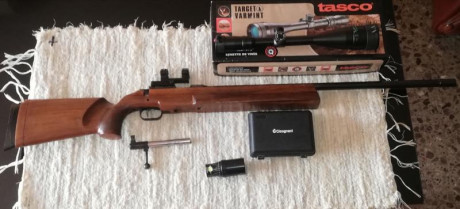 RESERVADA-----VENDO CARABINA ANSCHUTZ MOD. 1408 EN PERFECTO ESTADO,   IDEAL PARA BR-50. NO CAMBIOS,  .400 00