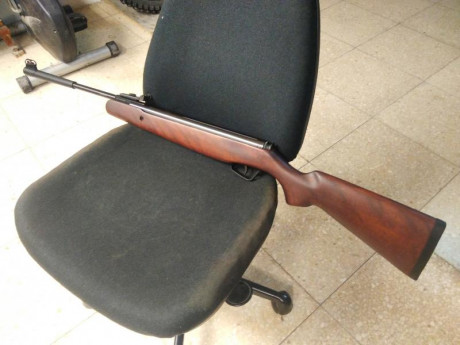 Hola, vendo mi Stoeger X10 calibre 5,5 totalmente nueva. La carabina no tiene ni 30 disparos. El motivo 01