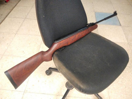 Hola, vendo mi Stoeger X10 calibre 5,5 totalmente nueva. La carabina no tiene ni 30 disparos. El motivo 00