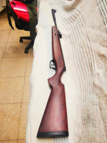 Hola, vendo mi Stoeger X10 calibre 5,5 totalmente nueva. La carabina no tiene ni 30 disparos. El motivo 22