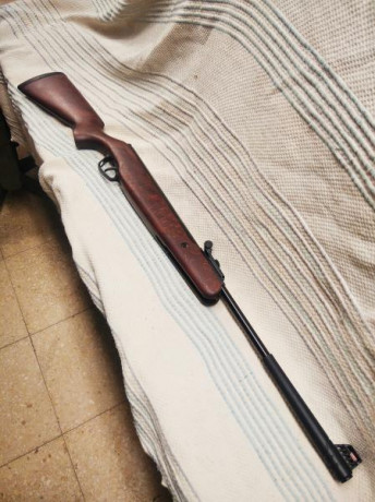 Hola, vendo mi Stoeger X10 calibre 5,5 totalmente nueva. La carabina no tiene ni 30 disparos. El motivo 21