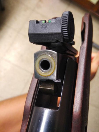 Hola, vendo mi Stoeger X10 calibre 5,5 totalmente nueva. La carabina no tiene ni 30 disparos. El motivo 40