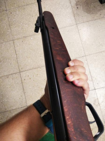 Hola, vendo mi Stoeger X10 calibre 5,5 totalmente nueva. La carabina no tiene ni 30 disparos. El motivo 32