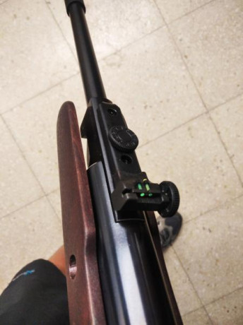 Hola, vendo mi Stoeger X10 calibre 5,5 totalmente nueva. La carabina no tiene ni 30 disparos. El motivo 31