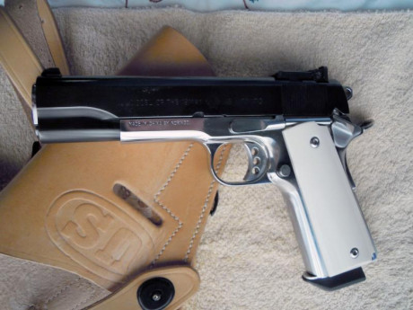 Tengo el capricho de un .45 ACP.
Tiene que ser el mas preciso. Super apto para precision y excelente para 80
