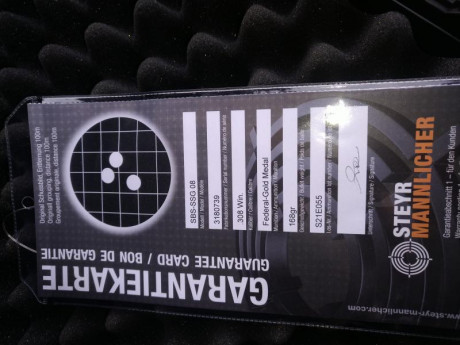 Se vende steyr sg08 calibre 308 comprado nuevo en octubre de 2019 solo tiene 60 disparos se entrega con 00