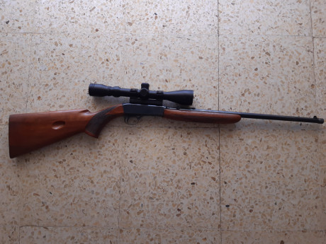 Vendo carabina desmontable Browning calibre 22 lr con rosca homologada y visor gamo 3-9x40.
Se puede ver 02
