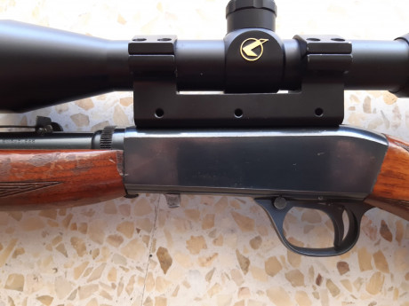 Vendo carabina desmontable Browning calibre 22 lr con rosca homologada y visor gamo 3-9x40.
Se puede ver 00