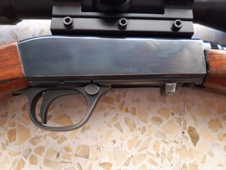 Vendo carabina desmontable Browning calibre 22 lr con rosca homologada y visor gamo 3-9x40.
Se puede ver 12