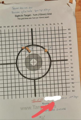 Llevo bastante tiempo intentando confirmar, con mis limitados recursos, si efectivamente los Sauer 101 131