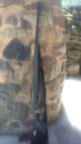 Se vende manlicher sbs 96 prohunter 7mmRm
Cagardor separable 4 balas
Gatillo con Pelo francés
Monturas 00