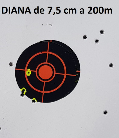 Buenas, ¿Qué telescopio os parece la mejor opción calidad-precio para tiro de precisión a 100 metros con 140
