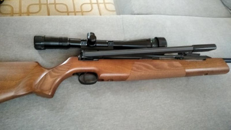 El arma tiene un año completamente nueva ni dos cajas de balines vendo por que estoy en otro  prollecto 20