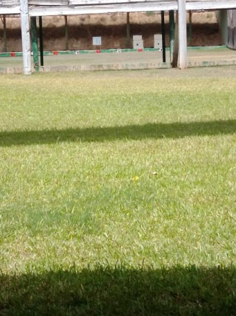 CARABINA VENDIDA!!!
retirar anuncio , gracias al foro y a los compañeros. :birra^: 51
