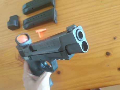 Se busca esta pistola en buen estado y dentro de un presupuesto contenido. 10