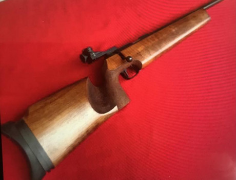 Me interés una Walther KK UIT que esté en buen estado. Es un modelo antiguo del año 1978 , pero tiene 00